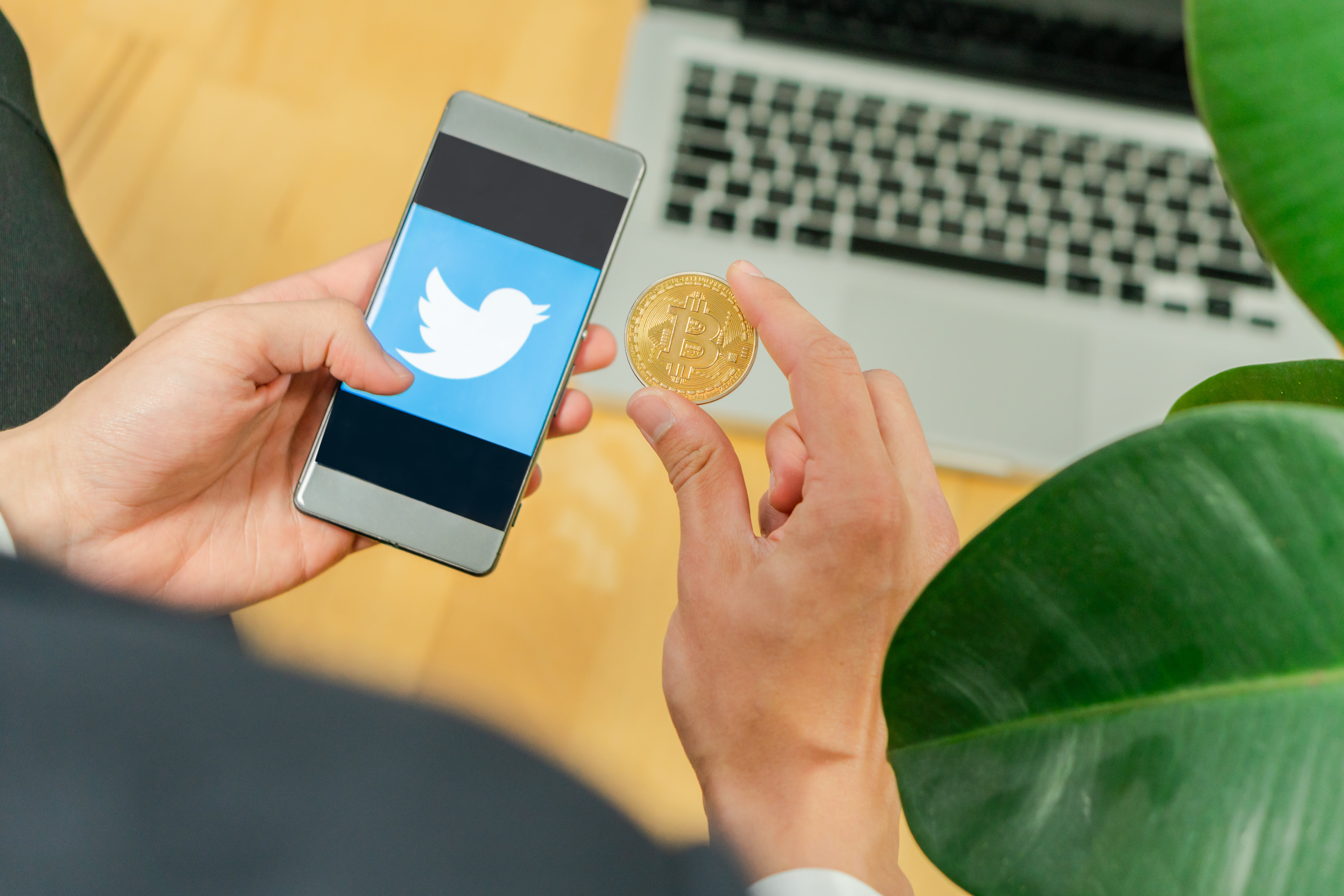 bitcoin price social media twitter