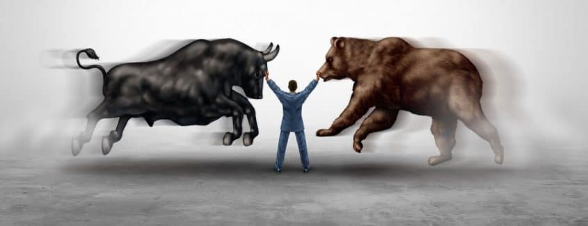 Bull vs bear