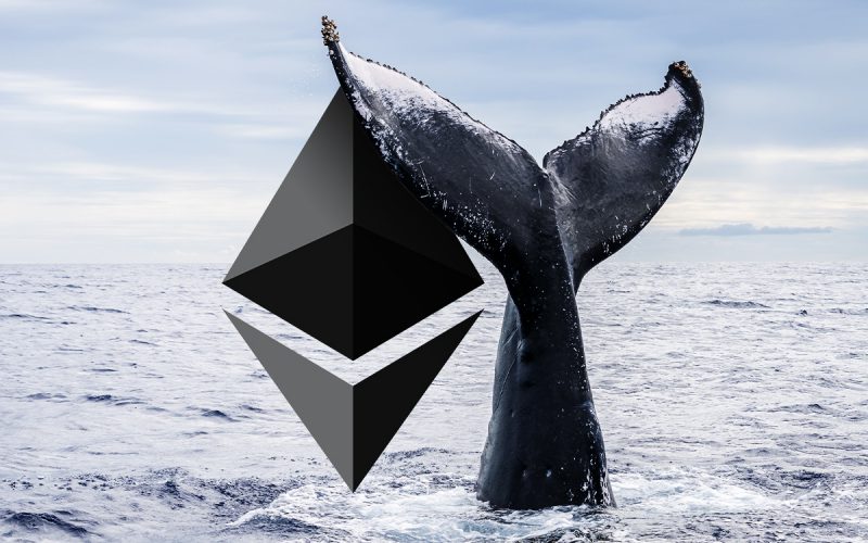 Ethereum whales