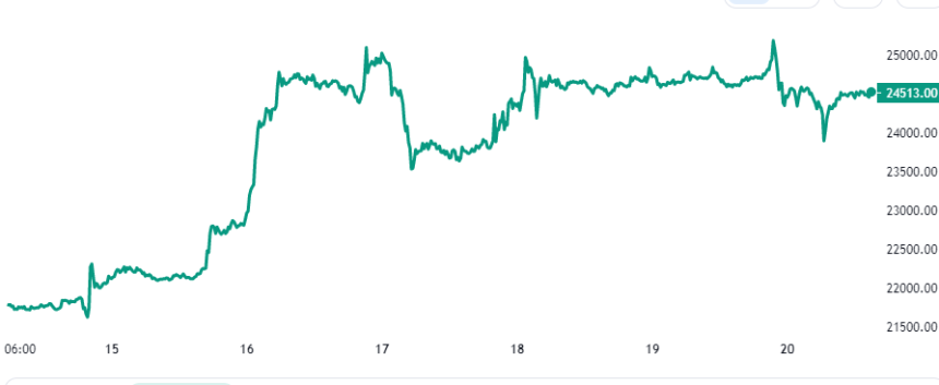 Bitcoin Price Chart