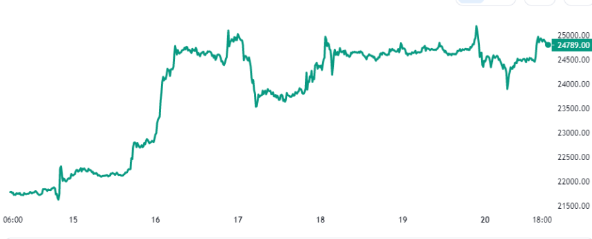 Bitcoin Price Chart