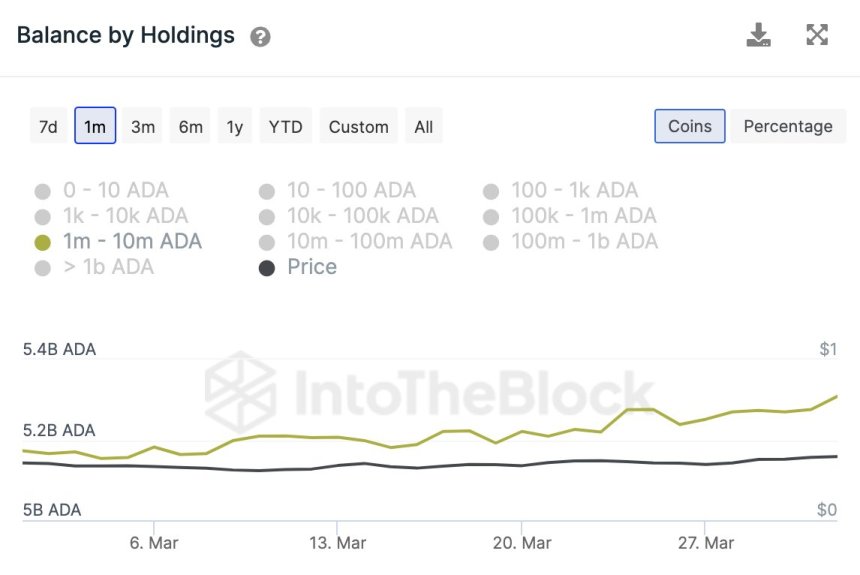 Cardano 