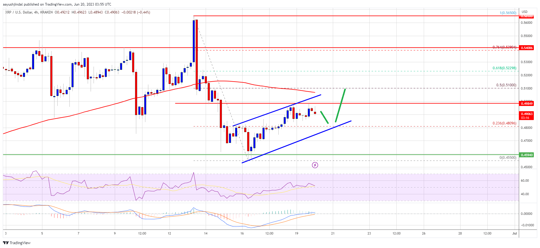 XRP Price