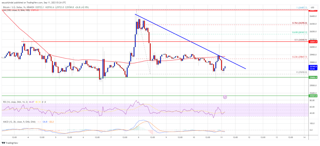 Bitcoin Price