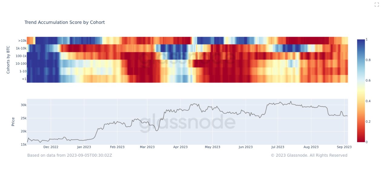 Bitcoin trend accumulation score by cohort