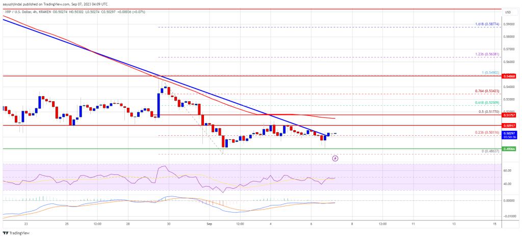 XRP Price Prediction