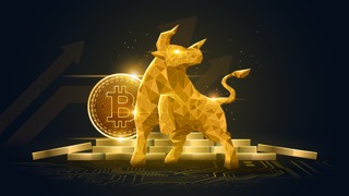 Bitcoin bull