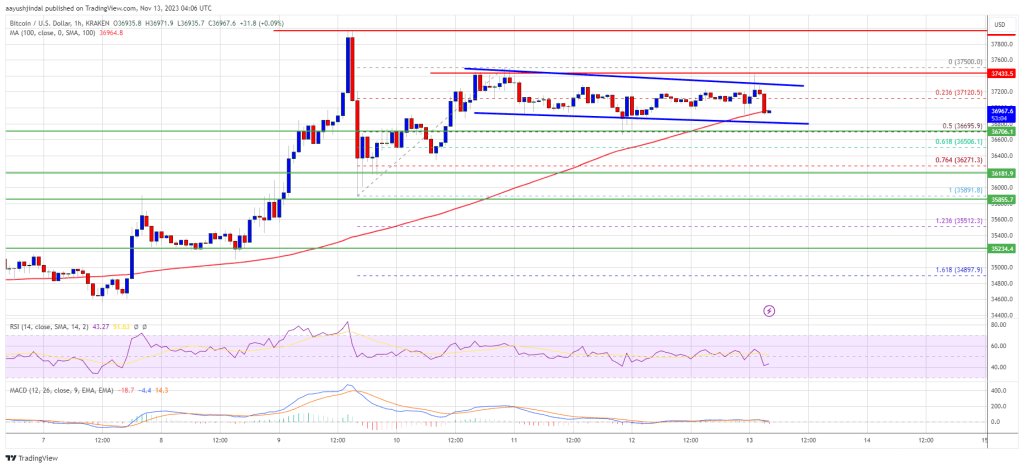 Bitcoin Price