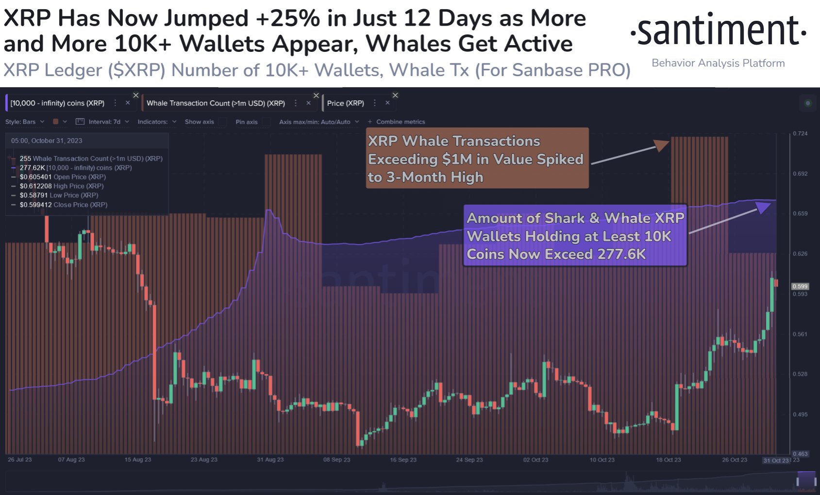 XRP whales and sharks