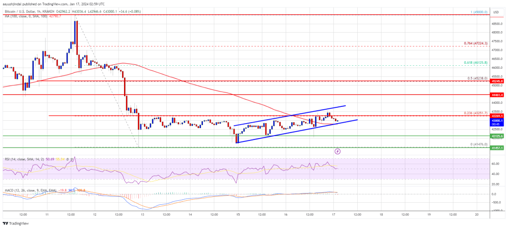 Bitcoin Price