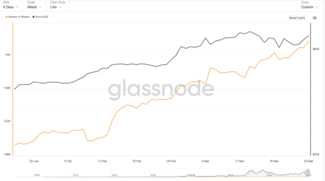 Bitcoin whales