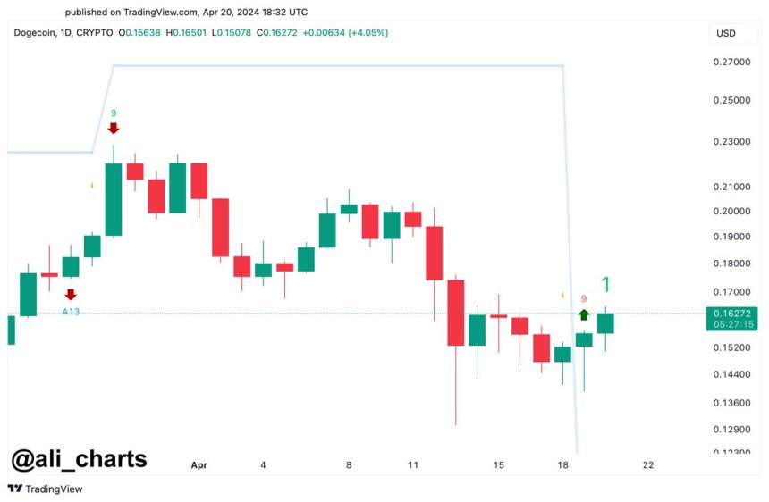 DOGE price