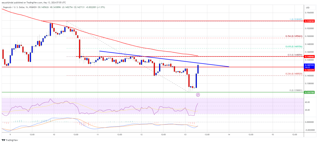 DOGE Price Prediction