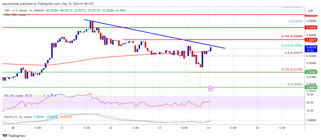 XRP Price