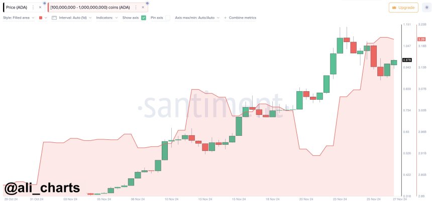 Las ballenas de Cardano compraron más de 130 millones de ADA durante la reciente corrección