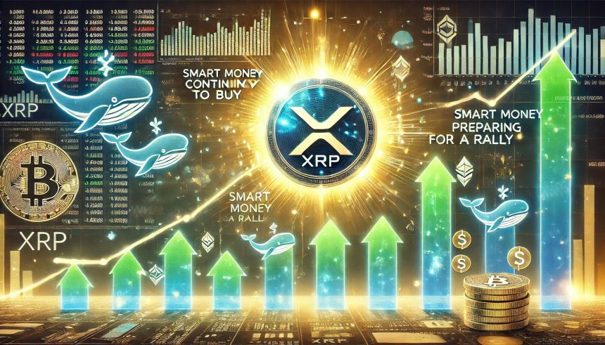 XRP Whales Keep Buying – Data Reveals Smart Money Prepares For A Rally