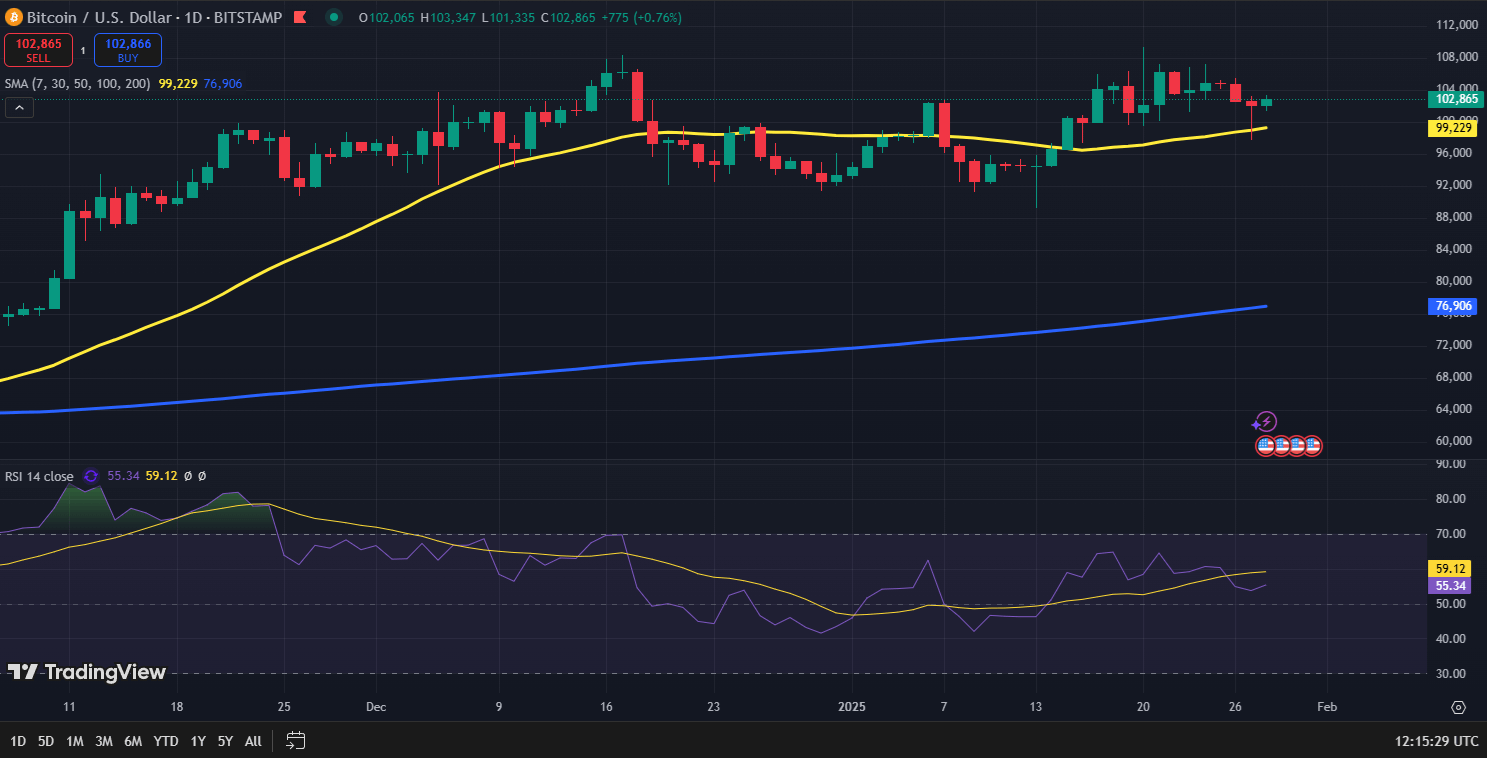 Gráfica de precios de Bitcoin