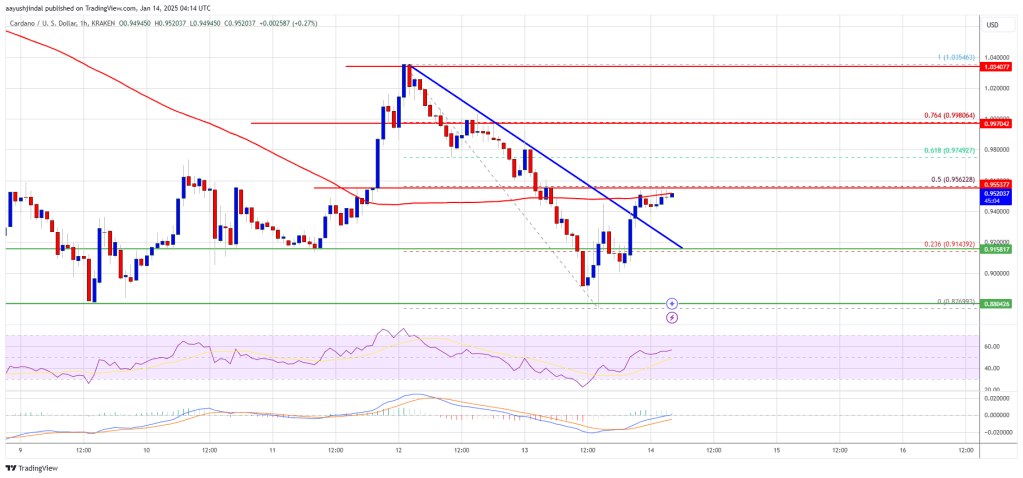 Cardano Price