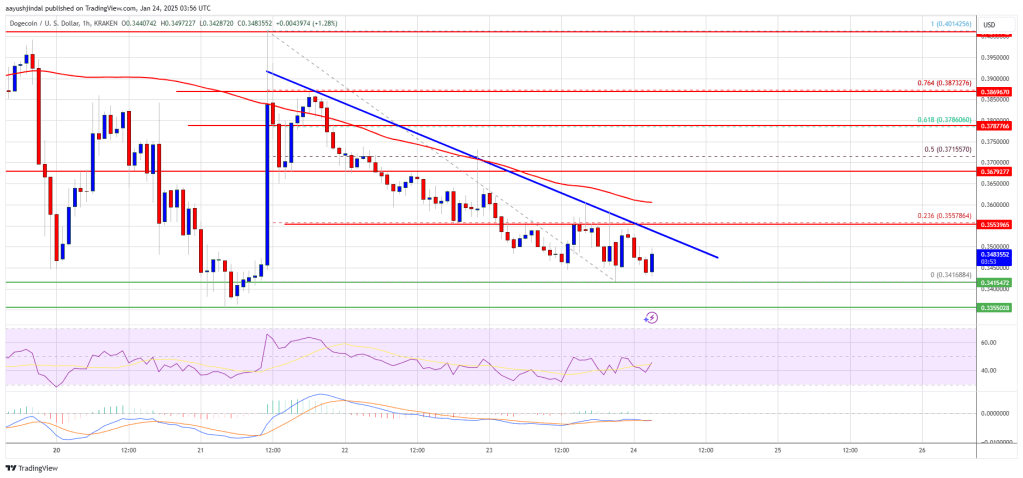 Dogecoin Price