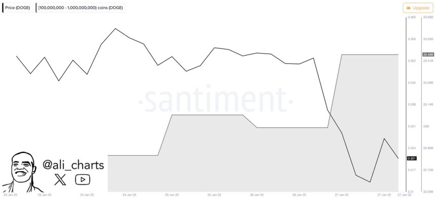 Dogecoin whales accumulate 460 million Doge | Source: Ali Martinez on X