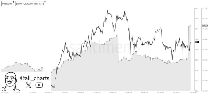 Ethereum whales buy 1.4M ETH in 48H | Source: Ali Martinez on X