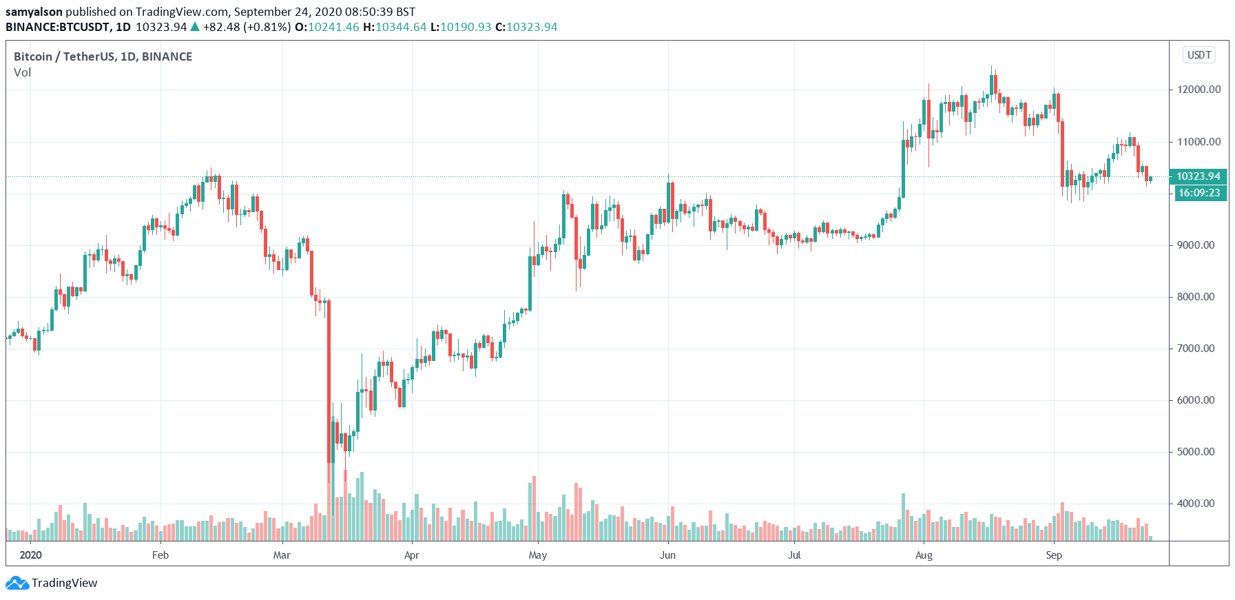 Bitcoin daily chart YTD