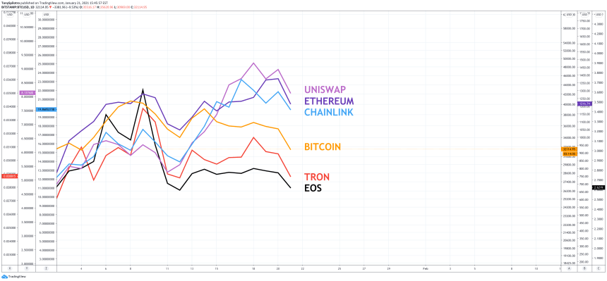 bitcoin versus altcoins