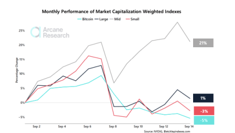 Chart showing recovery patterns of crypto indexes