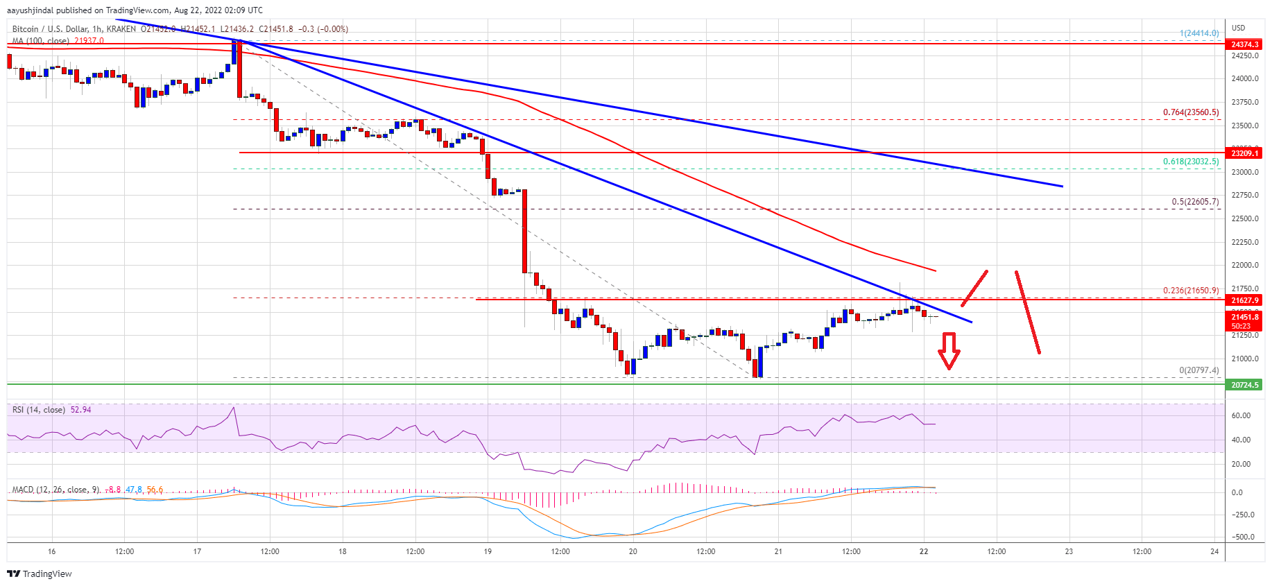 Bitcoin Price