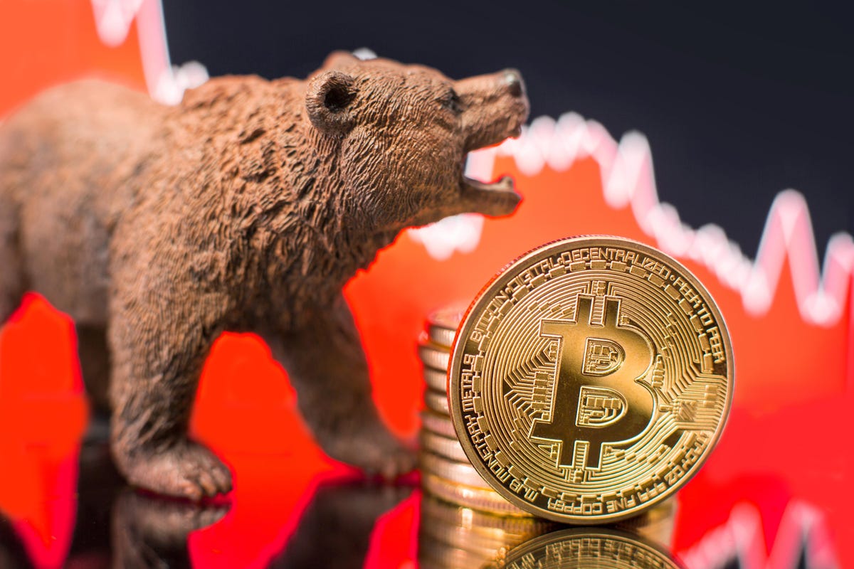 Bitcoin bear