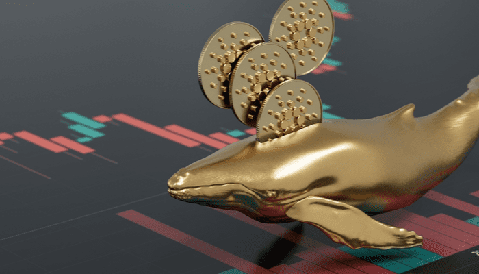 Bitcoin whales