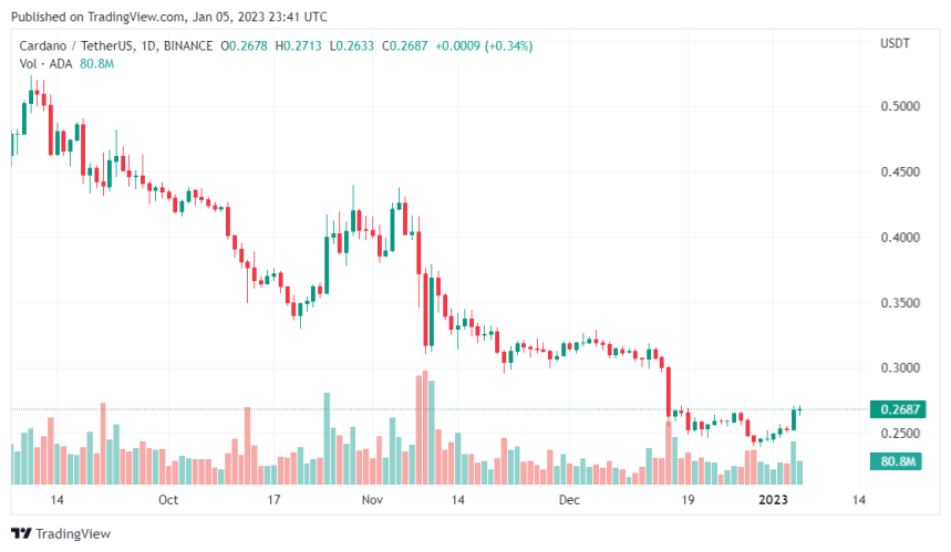 Whales Interest In Cardano Spikes ADA Price