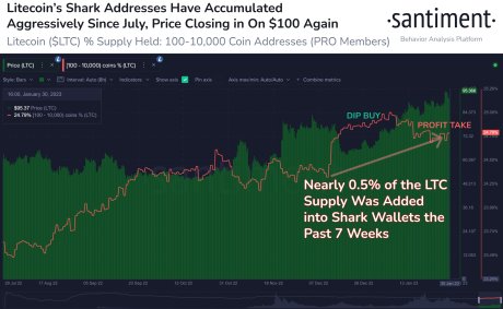 Litecoin Santiment