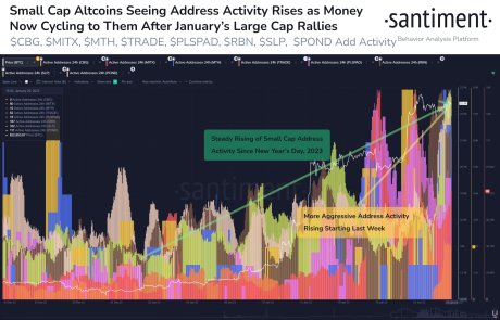 Santiment ADA SOL small cap altcoins