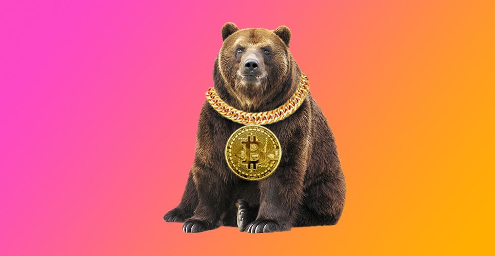 bitcoin bear