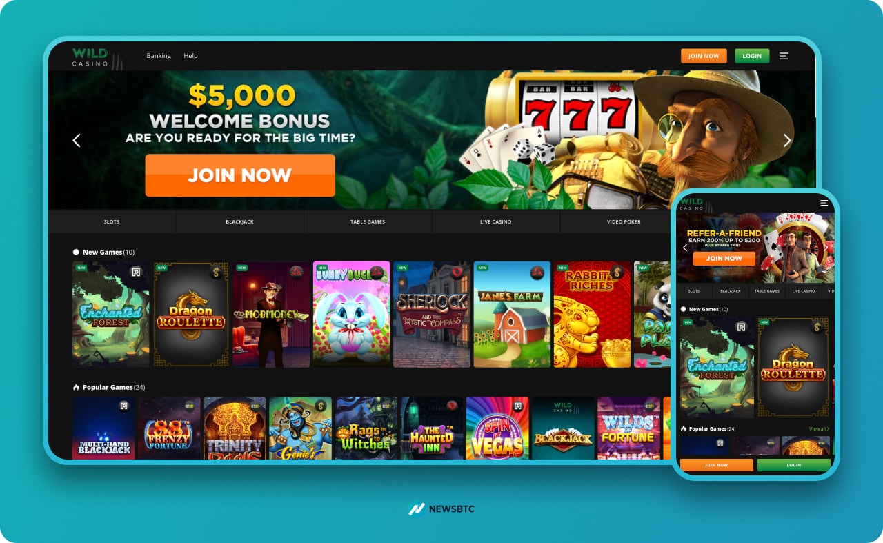 Wild Casino with bonuses site