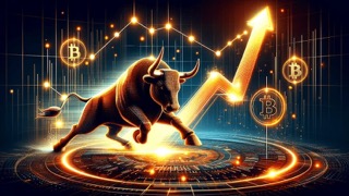 Bitcoin bull