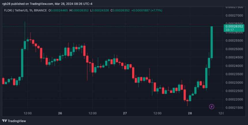 FLOKI, FLOKIUSDT, Crypto