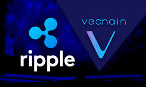 XRP VET