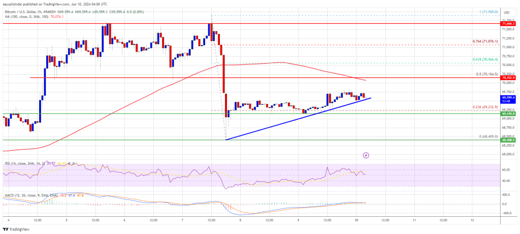 Bitcoin Price 