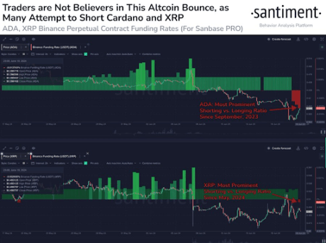 XRP Cardano