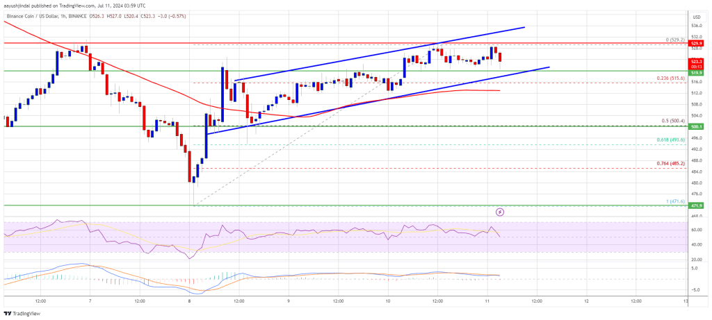 BNB Price