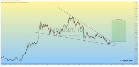 Cardano 1