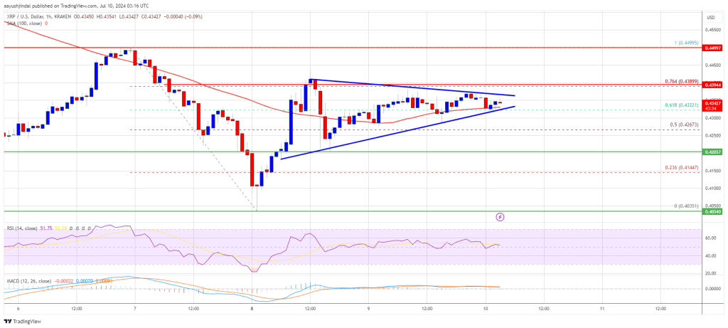 XRP Price