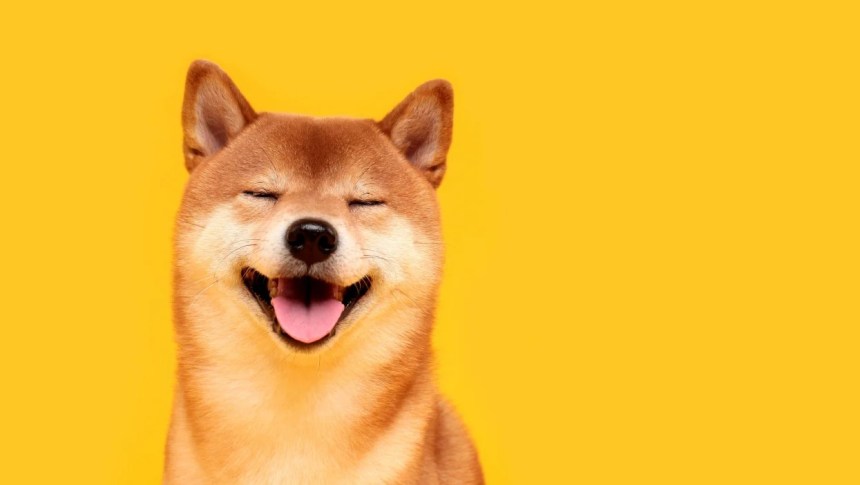 Dogecoin