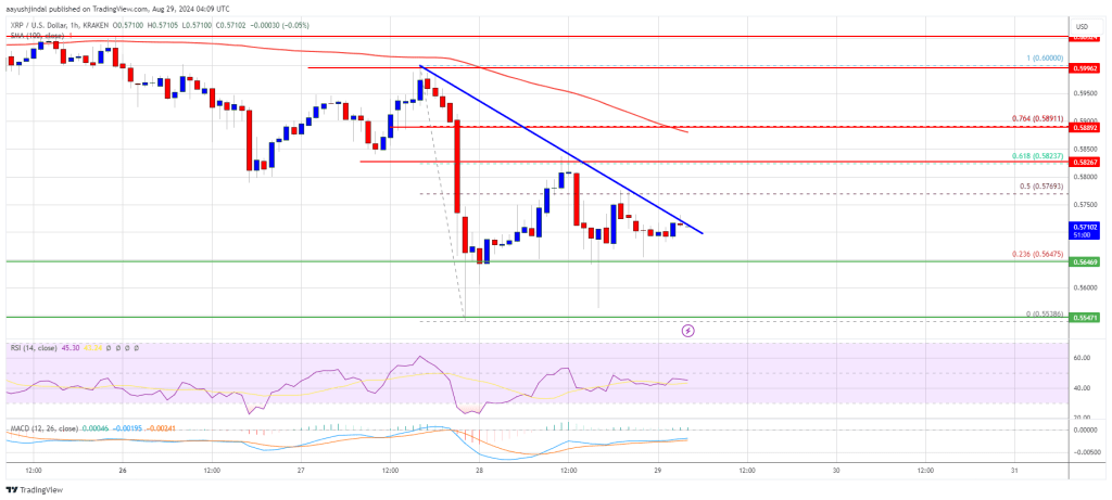 XRP Price