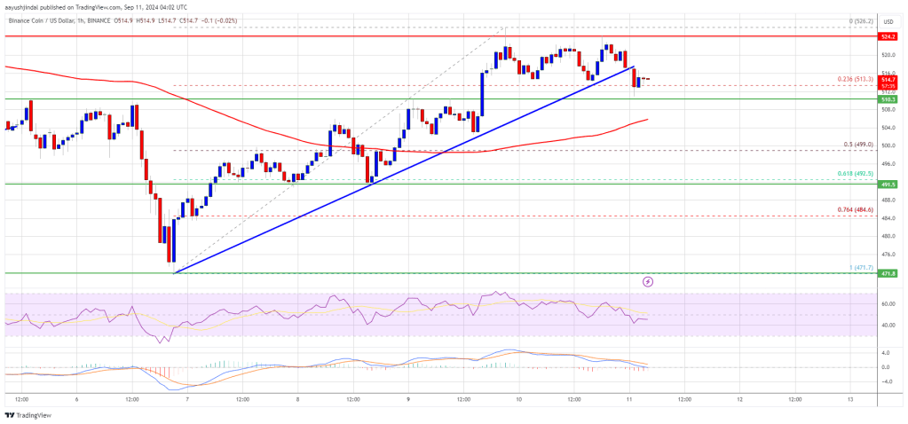 BNB Price