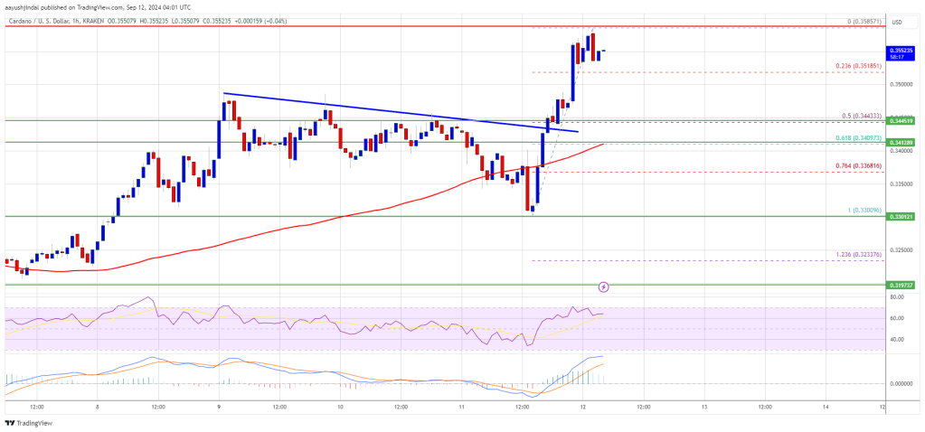 Cardano Price 