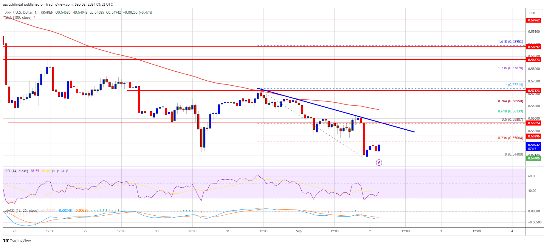 XRP Price Struggles