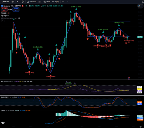 Cardano 2